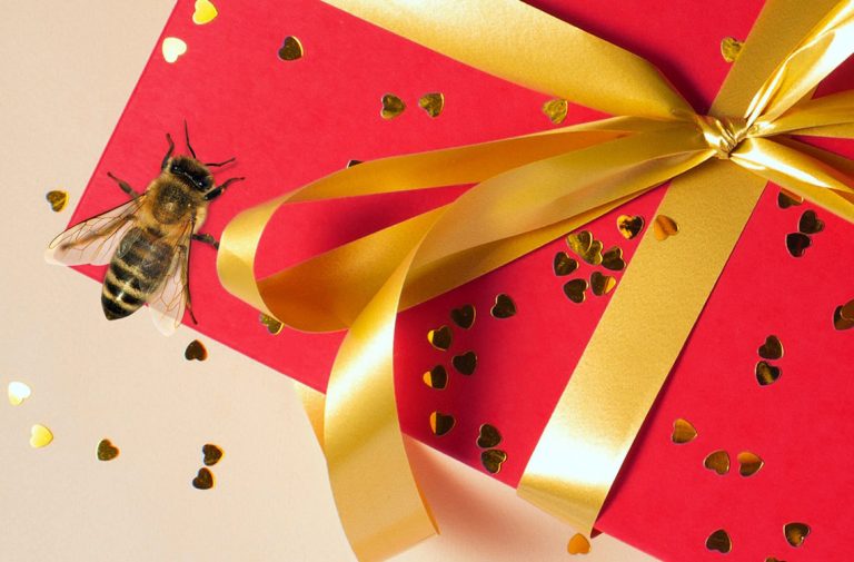 Wheen Bee Foundation Christmas Gift Guide 2023