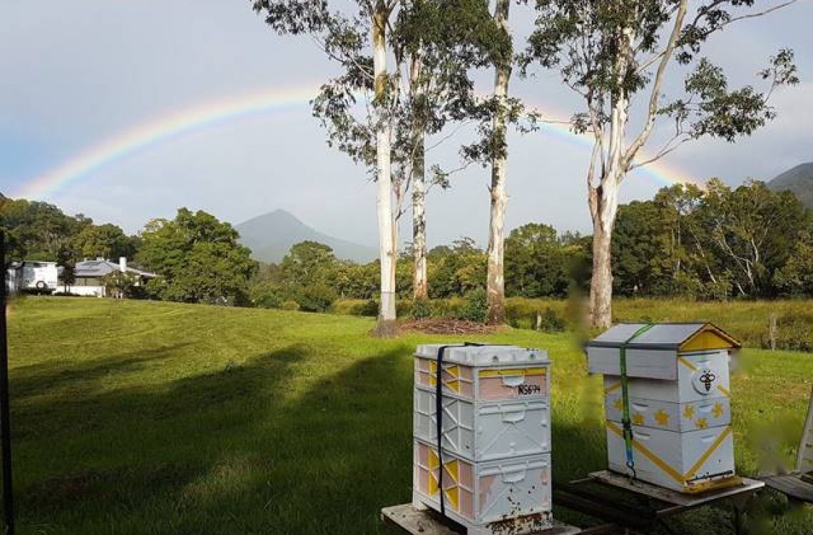 Hives _ Rainbow (1)