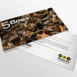 5 Bees