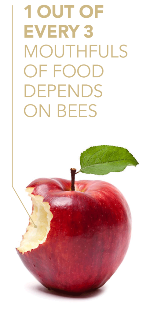 1 out of every 3 mouthfuls of food depends on bees.
